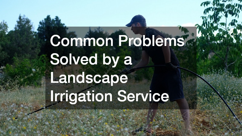 Common Problems Solved by a Landscape Irrigation Service